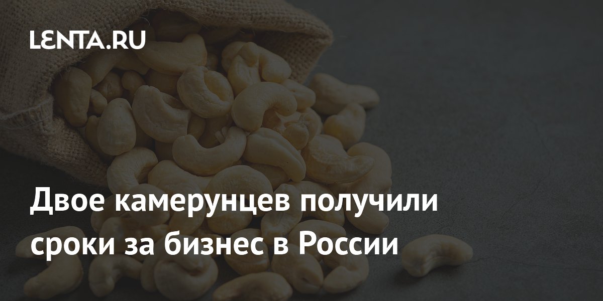 Два гражданина Камеруна осуждены за предпринимательскую деятельность в России